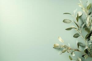 A calming gradient effortlessly transitions from soft sage green to a creamy neutral tone, providing a fresh and modern backdrop ideal for text and design elements photo