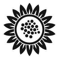 Sunflower with seeds showing growing in nature vector