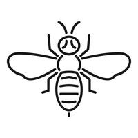 Honey bee flying showing wings and stripes in simple line art style vector