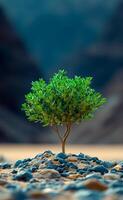 A small tree is growing in the desert. Concept of resilience and hope, as the tree is able to thrive in such a harsh environment photo