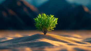 A small green tree is growing on a sandy hill. Concept of resilience and hope, as the tree is able to grow and thrive in a harsh environment photo