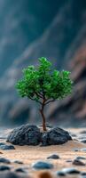 A small tree is growing on a rocky surface. Concept of resilience and strength, as the tree is able to thrive in an environment that is not typically conducive to plant growth photo