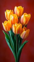 A bouquet of yellow tulips with green stems. The flowers are arranged in a vase and are placed on a red background. Concept of warmth and happiness photo