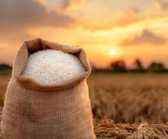Bag of rice in a golden field during sunset with soft clouds in the background creating a serene atmosphere photo