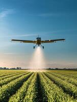 Crop-dusting aircraft spraying fields at sunset in agricultural landscape photo