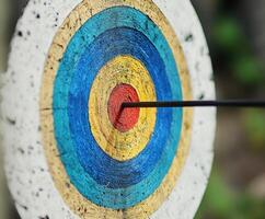 Archery target with a perfectly placed arrow in the center highlighting skill and focus during practice photo