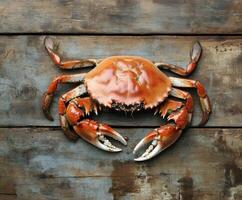 Vibrant red crab resting on weathered wooden surface in a coastal setting photo