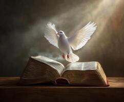 Dove takes flight above an open book in a dimly lit setting, symbolizing peace and knowledge photo