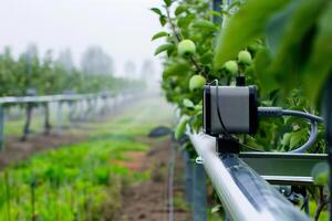 Smart agriculture technology with sensors in a modern orchard photo