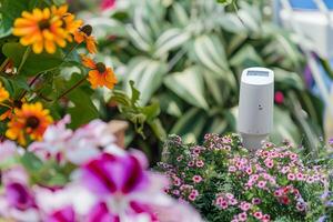 Smart garden temperature and humidity sensor among bright flowers for effective plant care photo