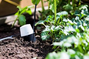 Smart garden sensor in lush greenery for efficient plant care photo