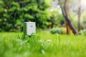 Smart garden sensor in lush greenery during rainy morning for remote plant monitoring photo