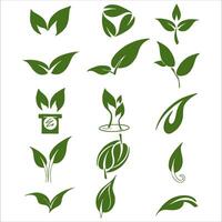 Illustration of bundle leaves on white background vector
