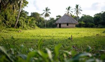 A serene landscape featuring a thatched hut surrounded by lush greenery. photo
