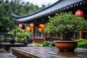 A serene bonsai tree in a traditional garden setting with lanterns. photo