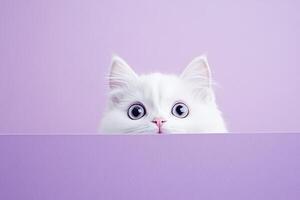 Cute young frightened white fluffy cat peeking out against a light lavender color background photo