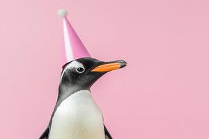 portrait cute penguin bird in festive party hat on pastel pink background with copy space, template for birthday celebration design photo