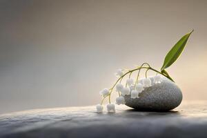minimalist photo close-up of a lily of the valley flower resting on a smooth stone surface on soft gradient background with copy space