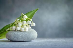 close-up of delicate lily of the valley flower on a smooth stone surface on neutral grey background, minimalist composition with copy space photo