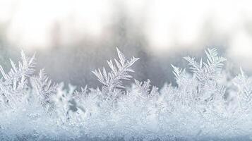 Frosty Windowpane Texture photo