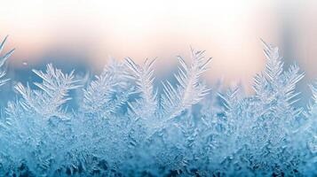 Frost Patterns on a Window Pane. photo