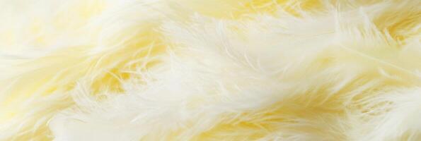 Close-up of soft yellow feathers creating a fluffy textured background photo