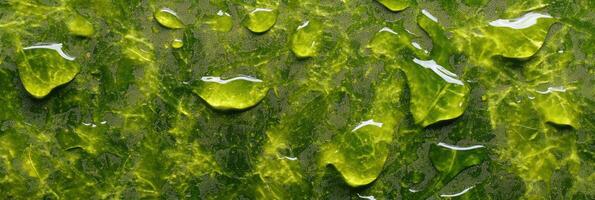 Close-up of green leaf surface with water droplets highlighting natural texture photo