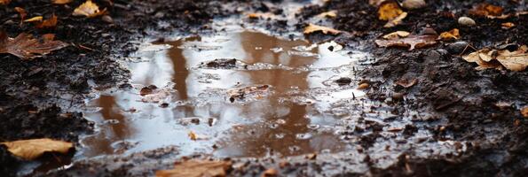 Autumn leaves and puddle on wet muddy ground capturing seasonal change photo