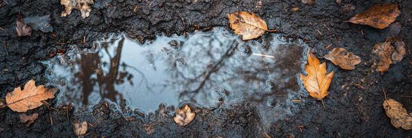 Rainy autumn day with fallen leaves surrounding a reflective puddle on muddy ground photo