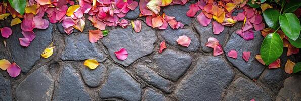 Vibrant rose petals on stone pathway creating a lively nature scene photo