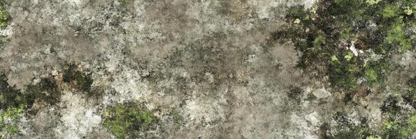 Abstract textured surface with green and brown natural moss pattern photo