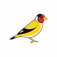 Beautiful Goldfinch Bird Drawing for Creative Projects vector