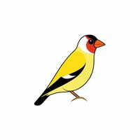 Elegant Goldfinch Bird Art for Nature-Themed Graphics vector