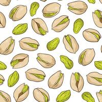 Seamless pattern with pistachio nuts on white background, hand-drawn illustration vector