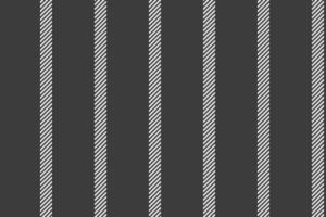 Texture fabric vertical of pattern lines with a textile stripe background seamless. vector
