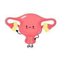Uterus cartoon with smiling face on white background vector