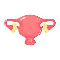 Illustration of a Uterus with ovaries in cartoon style on white background vector