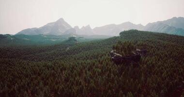Lush green forest landscape with towering mountains in the background video
