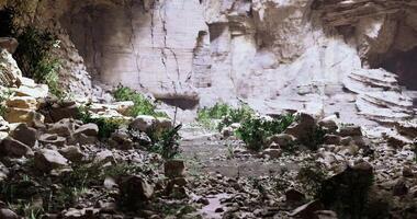 Exploring a rocky cave with vegetation and unique geological formations video