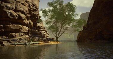 Exploring a tranquil river surrounded by towering cliffs and lush foliage video