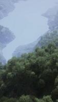 Aerial top view of rainforest ecosystem and healthy environment video