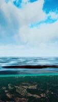 underwater view with horizon and water surface split by waterline video