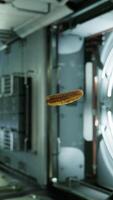 marinated pickled cucumber floating in internation space station video