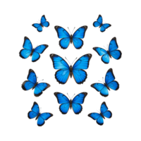 Soaring Blue Butterflies with Delicate Wing Patterns in Mid Flight on Transparent Background png