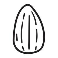 Almond nut. Outline design. Illustration on white background. vector