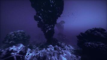 Exploring a mystical underwater vortex surrounded by vibrant marine life video