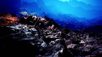 Discovering vibrant corals and textures on the dawn seabed video
