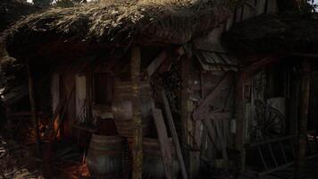 Authentic rustic hut with thatched roof near wooded area during twilight video