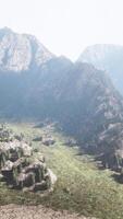 Fir and other pine trees on mountains on a sunny end of summer video