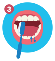 Third of How to Brush Your Teeth Step by Step Instruction Flat Illustration png